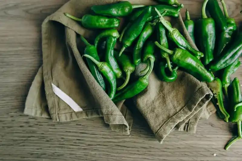 Health Benefits of Jalapeños: Spice Up Your Wellness