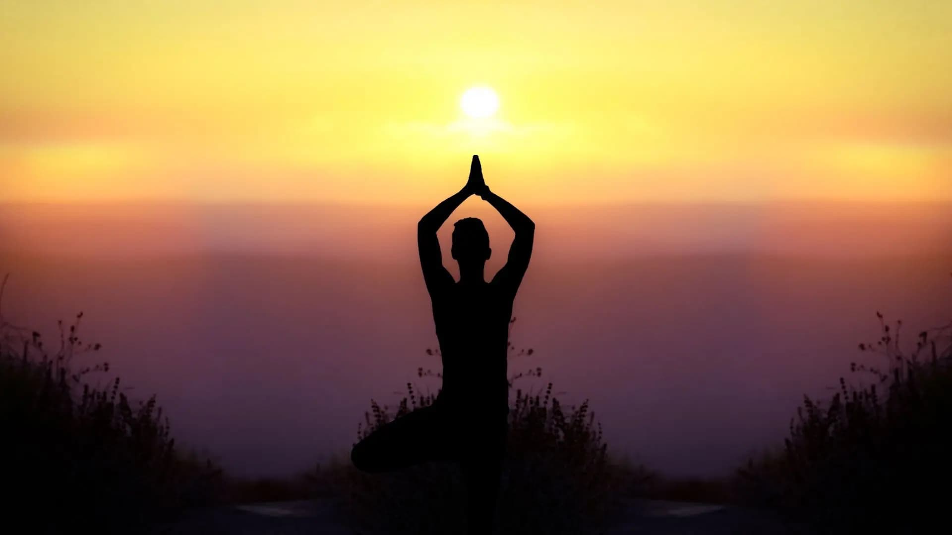 The 8 Limbs of Yoga – Explained for Beginners