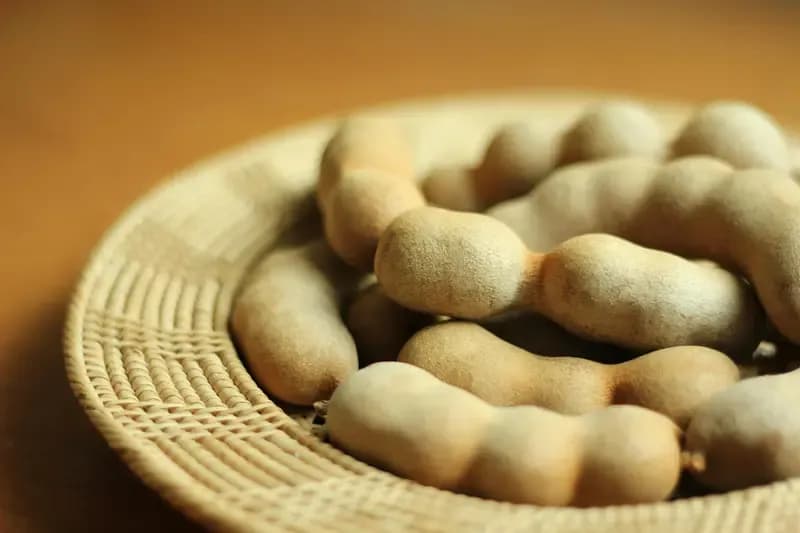 Health Benefits of Tamarind: 7 Reasons to Eat This Tangy Fruit