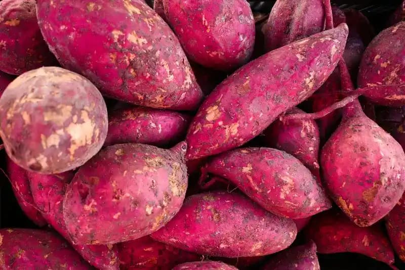 10 Health Benefits of Sweet Potatoes + Tasty Recipes
