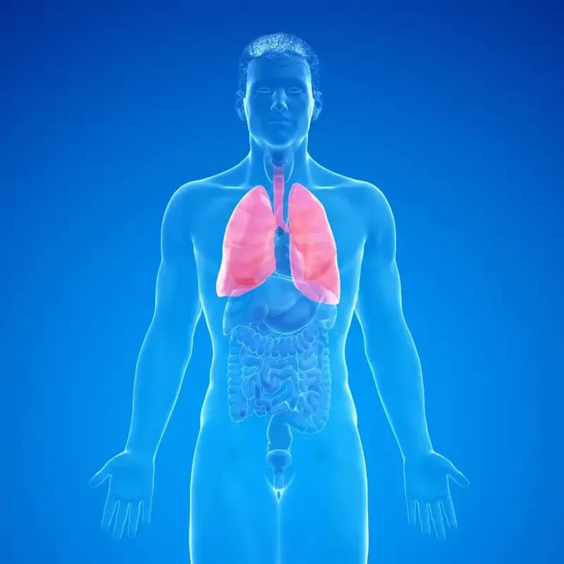 Understanding Cystic Lung Disease: Causes, Symptoms, and Treatment
