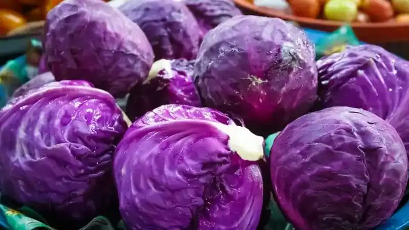 Purple Cabbage Benefits: 8 Reasons This Superfood Rocks
