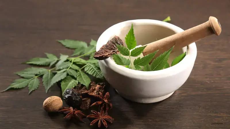 Ayurvedic Medicine for Piles ā Natural Remedies