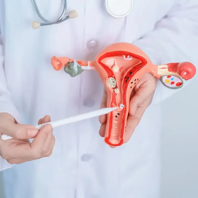 Exploring the Pathophysiology of Cervical Cancer