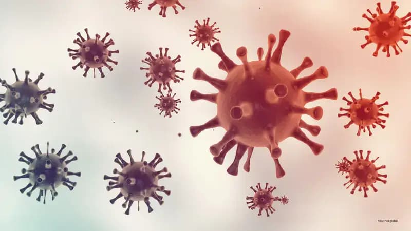 Eye Flu Treatment by Type: Viral, Bacterial, Allergic and Irritant Approaches