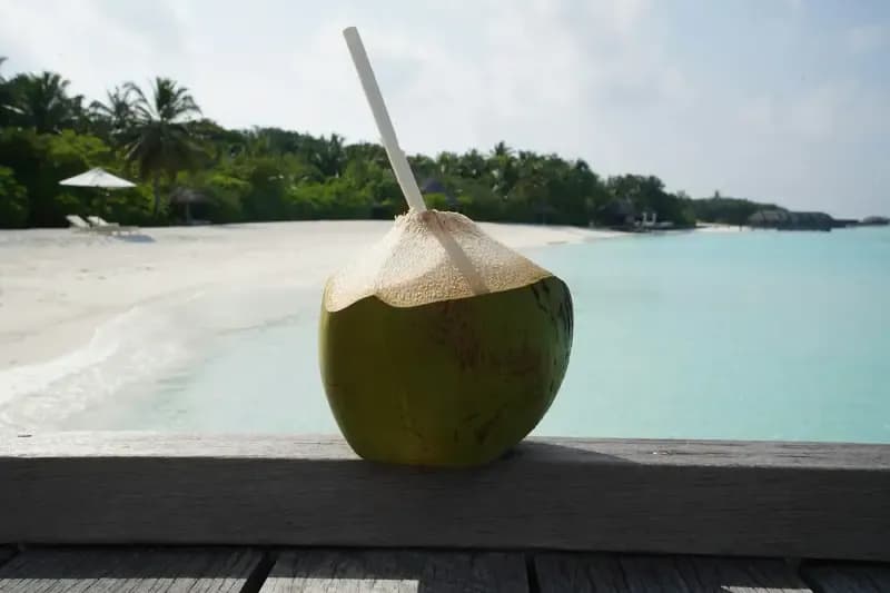 The Hydration Elixir: Exploring the World of Coconut Water