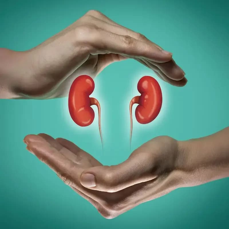 Homeopathic Medicine for Kidney Stone: Natural Remedies for Relief