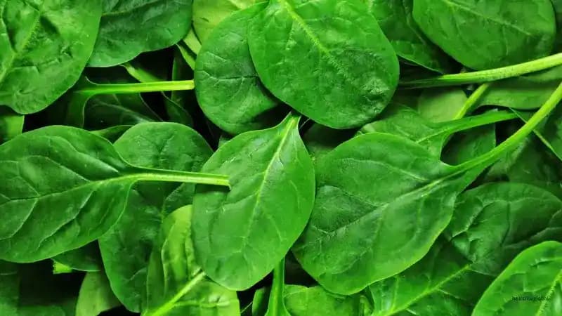Health Benefits of Water Spinach: A Nutritional Powerhouse