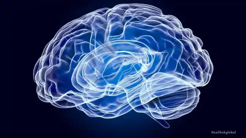 Neuro Physiotherapy: Enhancing Recovery and Quality of Life