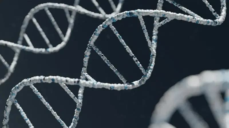 DNA Test at Home: Your Ultimate Guide
