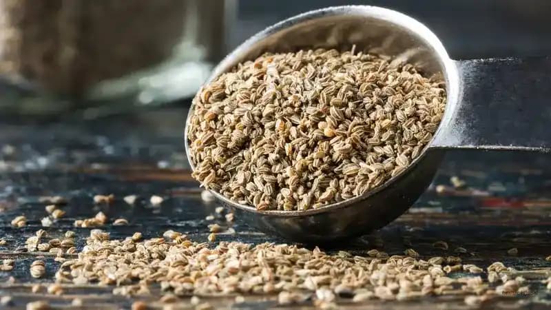 Health Benefits of Celery Seed: A Nutrient-Rich Super Spice