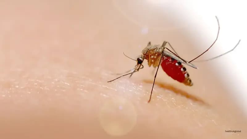 Comprehensive Guide to the Pathophysiology of Malaria